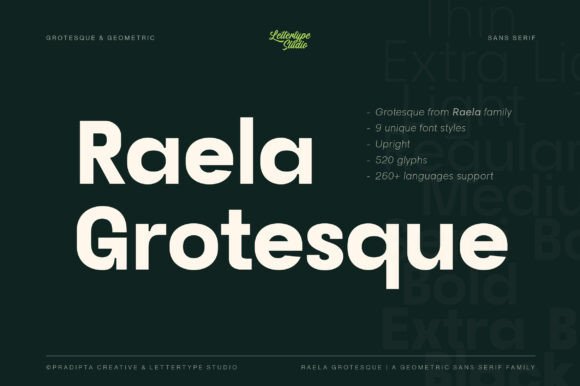 Raela Grotesque Font for Modern Campaign Design